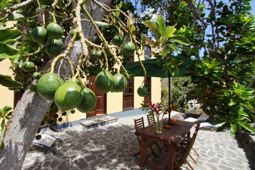 Casa Rural Los Aromos - Wunderschones Landhaus Mit Meerblick Hermigua Exterior foto